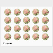 Roze Rose Ronde Sticker (Vel)