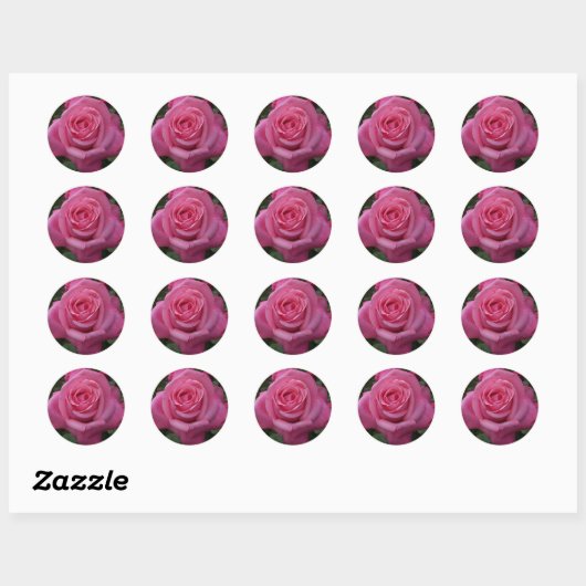 Roze Rose Ronde Sticker (Vel)
