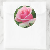 Roze Rose Ronde Sticker (Tas)
