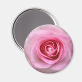 Roze Rose Round Magnet (Voorkant / Achterkant)