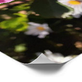 Roze Rose Rozen David Austin Flower Garden Poster (Hoek)