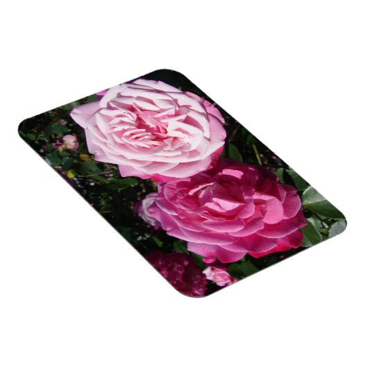 Roze Rose rozen foto  Birthday Magnet Magneet (Rechterzijde)