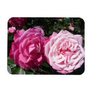 Roze Rose rozen foto Birthday Magnet Magneet