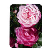 Roze Rose rozen foto  Birthday Magnet Magneet (Verticaal)
