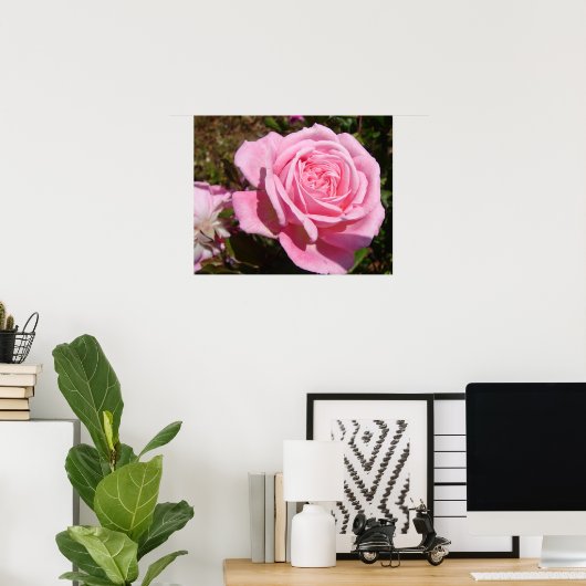 Roze Rose Rozen Spring Flower Garden Poster (Thuiskantoor)