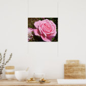 Roze Rose Rozen Spring Flower Garden Poster (Keuken)
