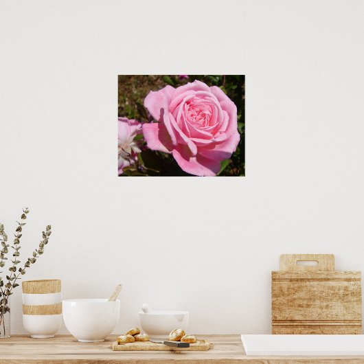 Roze Rose Rozen Spring Flower Garden Poster (Keuken)
