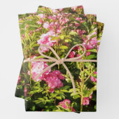 Roze Rose Secret Garden Inpakpapier Vel (In situ)