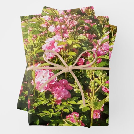 Roze Rose Secret Garden Inpakpapier Vel (In situ)