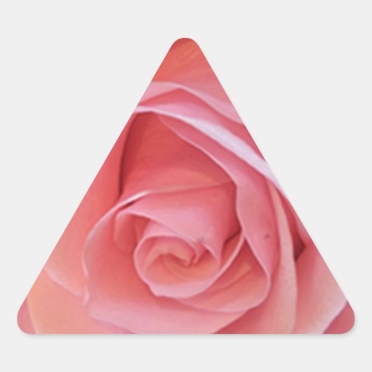 Roze Rose Sticker (Voorkant)