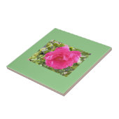 Roze Rose Tegeltje (Zijkant)