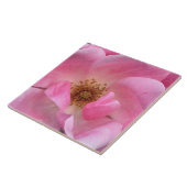 Roze Rose Tegeltje (Zijkant)