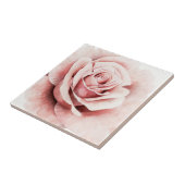 Roze Rose Tegeltje (Zijkant)