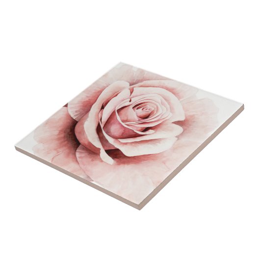 Roze Rose Tegeltje (Zijkant)