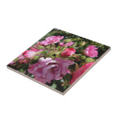 Roze Rose Tile Tegeltje (Zijkant)