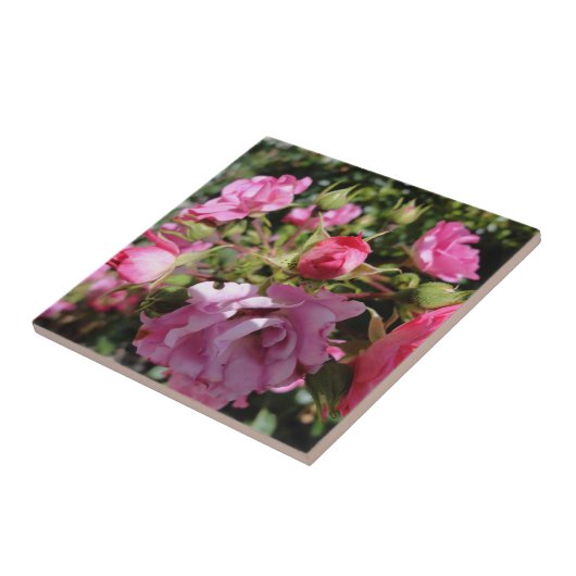 Roze Rose Tile Tegeltje (Zijkant)