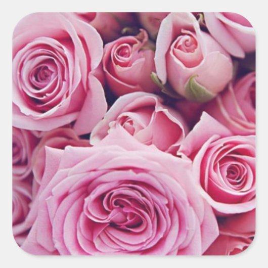 Roze Rose Trouwstickers Vierkante Sticker (Voorkant)