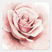 Roze Rose Vierkante Sticker (Voorkant)