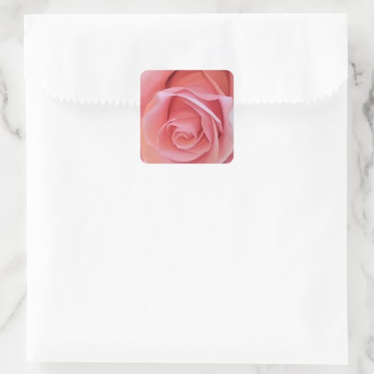 Roze Rose Vierkante Sticker (Tas)