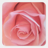Roze Rose Vierkante Sticker (Voorkant)
