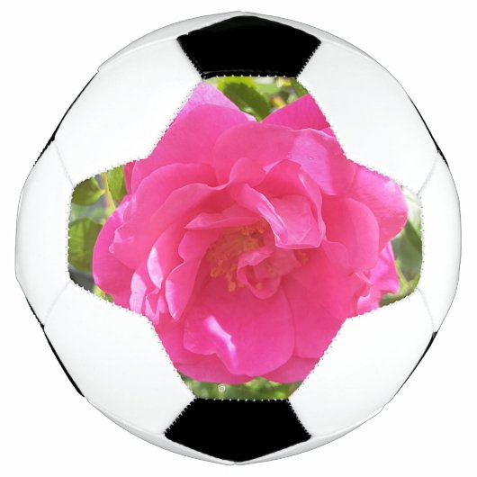Roze Rose Voetbal (Voorkant)
