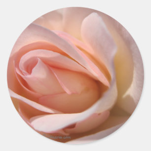 Roze Rose Wedding Invitation Seal Ronde Sticker