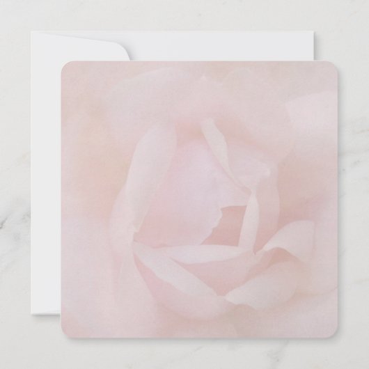 Roze Rose Wedding Vow Renewal Kaart (Achterkant)