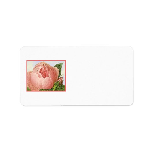 Roze Rosebud  Adresetiketten Etiket (Voorkant)