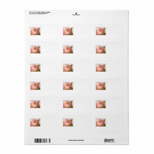 Roze Rosebud  Adresetiketten Etiket (Full Sheet)