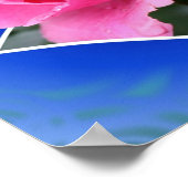 Roze Rosebud Bloem Out of Bounds Art Poster (Hoek)