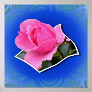 Roze Rosebud Bloem Out of Bounds Art Poster