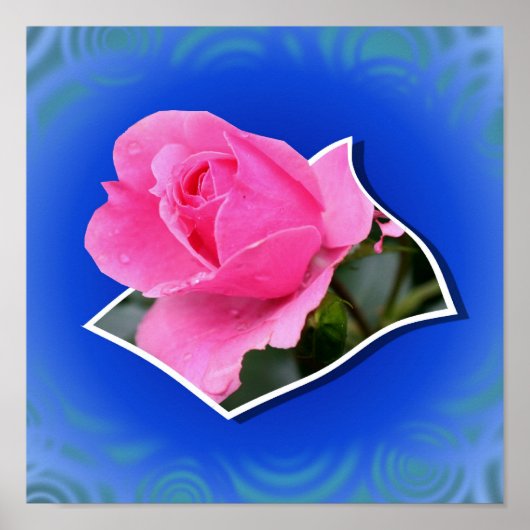 Roze Rosebud Bloem Out of Bounds Art Poster (Voorkant)