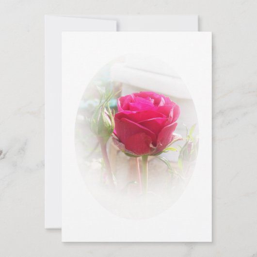 Roze Rosebud bruiloft Save The Date (Achterkant)