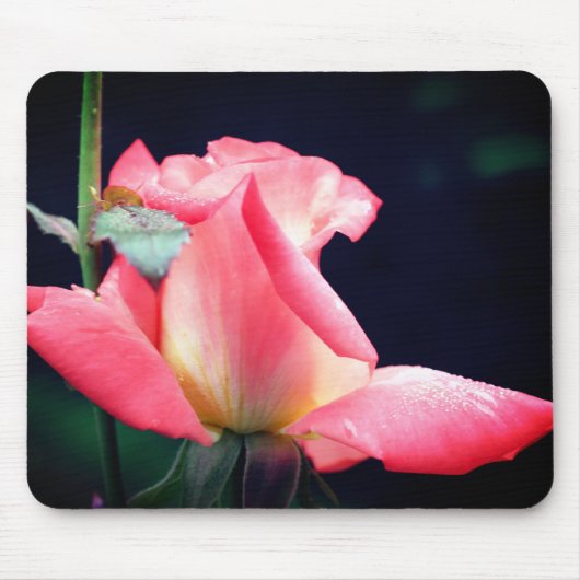 Roze Rosebud Delight Flower Muismat (Voorkant)