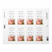 Roze Rosebud Editable sparen de Etiketten van de D (Full Sheet)
