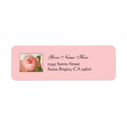 Roze Rosebud Etiketten van het Adres van de Terugk (Voorkant)
