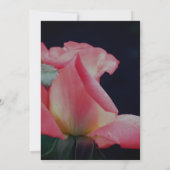 Roze Rosebud Floral Party Kaart (Achterkant)