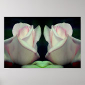 Roze Rosebud Flower Mirror Abstract Poster (Voorkant)
