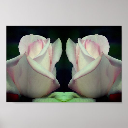 Roze Rosebud Flower Mirror Abstract Poster (Voorkant)