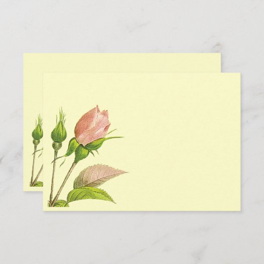 Roze Rosebud Invitation Reply Sjabloon Kaart (Voorkant / Achterkant)