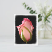 Roze rosebud met Fancy rand Briefkaart (Staand voorkant)