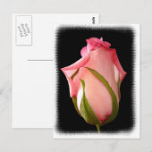 Roze rosebud met Fancy rand Briefkaart (Voorkant / Achterkant)