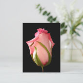 Roze rosebud met zwarte achtergrond briefkaart (Staand voorkant)