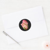 Roze Rosebud Ronde Sticker (Envelop)