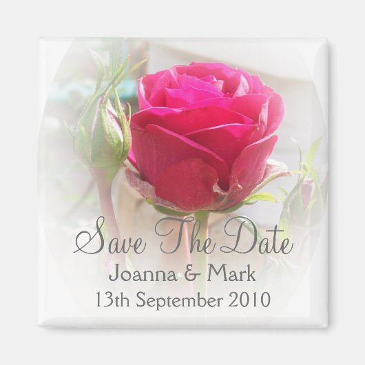 Roze Rosebud Save The Date Magnet (Voorkant)