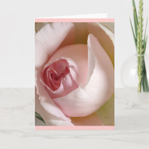 Roze Rosebud Wenskaart Kaart