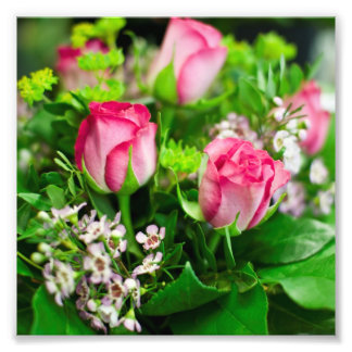 Roze Roses Bouquet Foto Afdruk