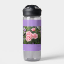 Roze Roses Camelback