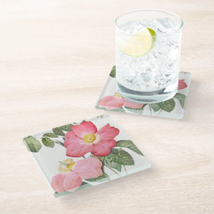 Roze Roses Flowers Pierre Redoute Glass Onderzette Glazen Onderzetter