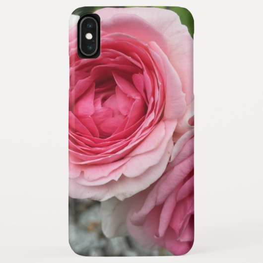 Roze Roses iPhone Case (Achterkant)